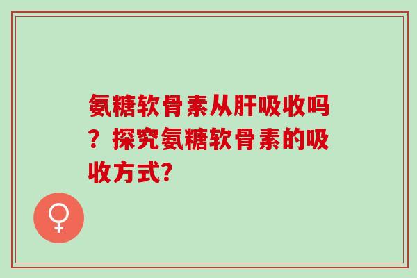 氨糖软骨素从肝吸收吗？探究氨糖软骨素的吸收方式？