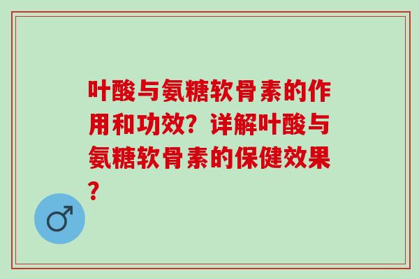 叶酸与氨糖软骨素的作用和功效？详解叶酸与氨糖软骨素的保健效果？