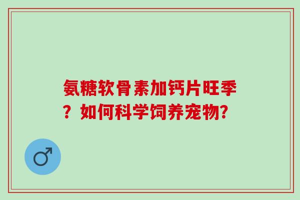 氨糖软骨素加钙片旺季？如何科学饲养宠物？