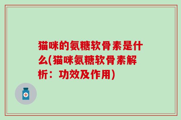 猫咪的氨糖软骨素是什么(猫咪氨糖软骨素解析:功效及作用) 猫咪的氨糖软骨素是什么(猫咪氨糖软骨素解析:功效及作用)
