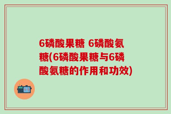 6磷酸果糖 6磷酸氨糖(6磷酸果糖与6磷酸氨糖的作用和功效)