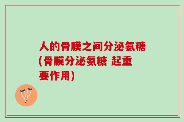 人的骨膜之间分泌氨糖(骨膜分泌氨糖 起重要作用)