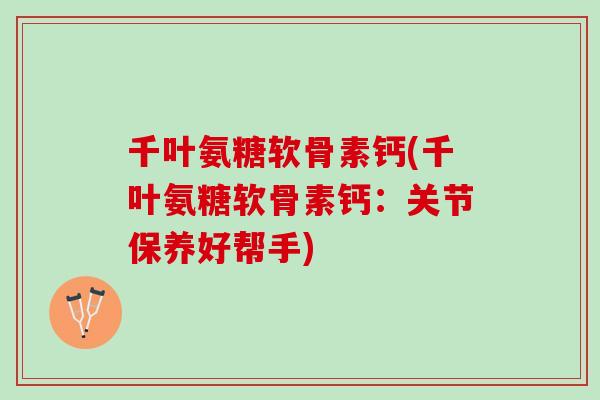 千叶氨糖软骨素钙(千叶氨糖软骨素钙：关节保养好帮手)
