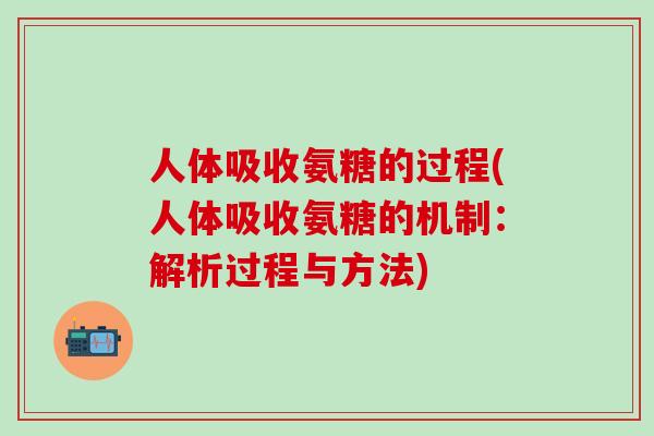 人体吸收氨糖的过程(人体吸收氨糖的机制：解析过程与方法)
