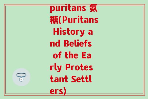 puritans 氨糖(Puritans History and Beliefs of the Early Protestant Settlers)
