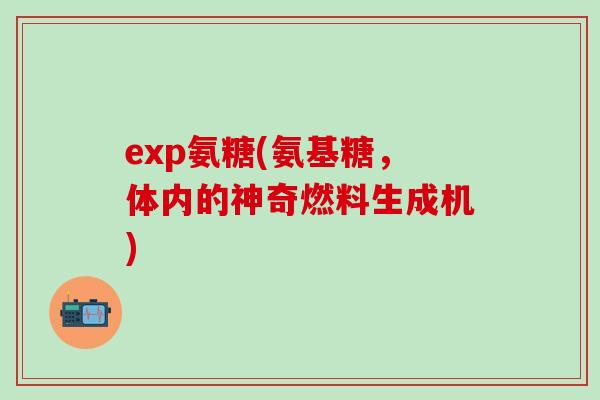 exp氨糖(氨基糖，体内的神奇燃料生成机)