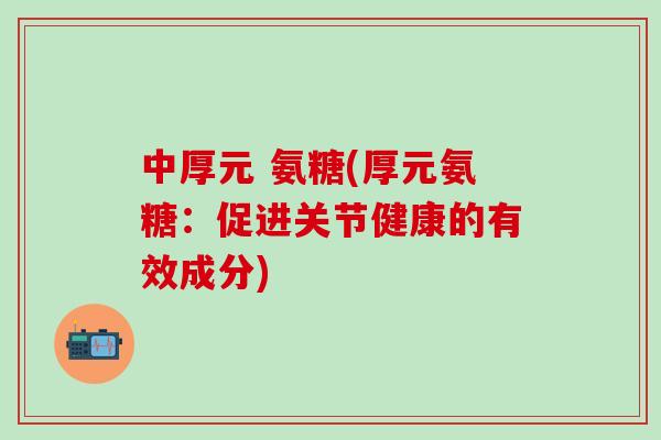 中厚元 氨糖(厚元氨糖：促进关节健康的有效成分)