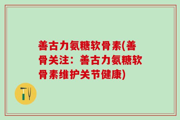 善古力氨糖软骨素(善骨关注:善古力氨糖软骨素维护关节健康) 善古力氨糖软骨素(善骨关注:善古力氨糖软骨素维护关节健康)