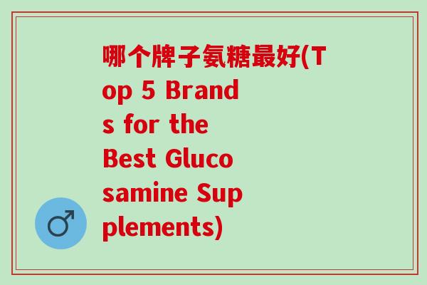 哪个牌子氨糖最好(Top 5 Brands for the Best Glucosamine Supplements)
