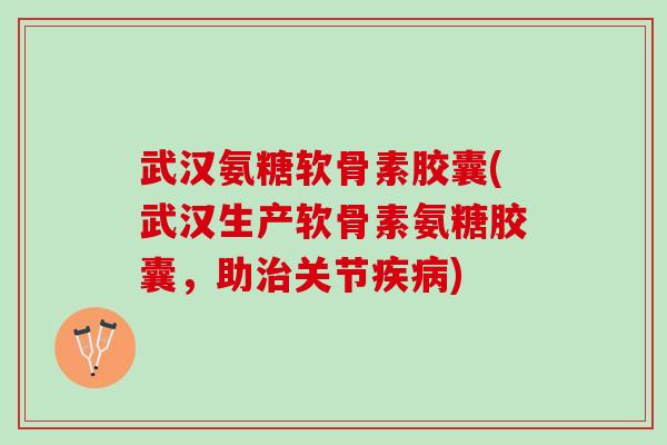 武汉氨糖软骨素胶囊(武汉生产软骨素氨糖胶囊，助治关节疾病)