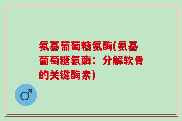 氨基葡萄糖氨酶(氨基葡萄糖氨酶：分解软骨的关键酶素)
