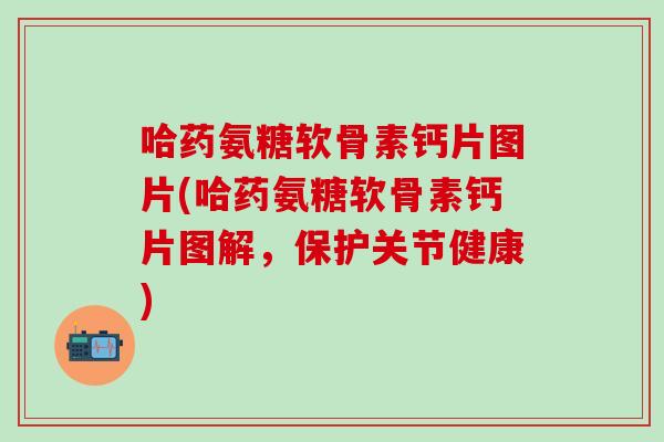 哈药氨糖软骨素钙片图片(哈药氨糖软骨素钙片图解，保护关节健康)