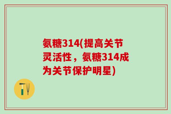 氨糖314(提高关节灵活性，氨糖314成为关节保护明星)