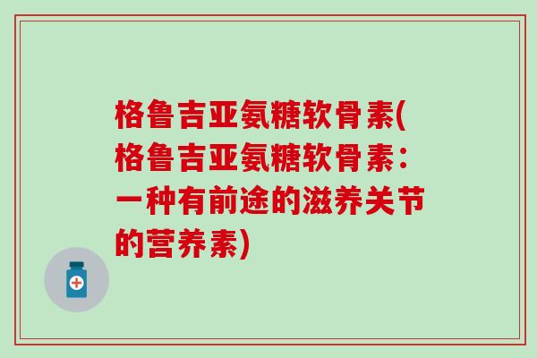 格鲁吉亚氨糖软骨素(格鲁吉亚氨糖软骨素：一种有前途的滋养关节的营养素)