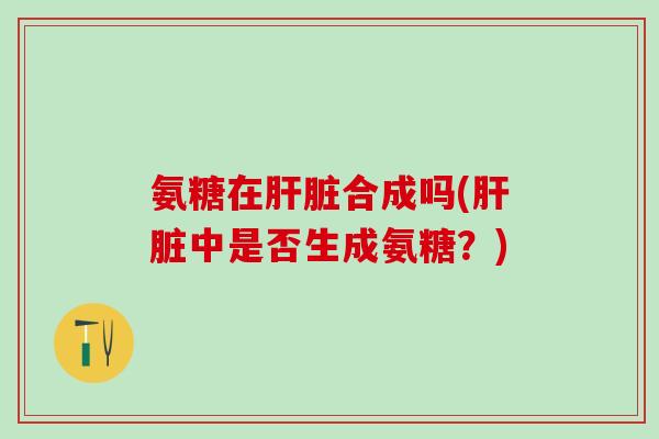 氨糖在肝脏合成吗(肝脏中是否生成氨糖？)