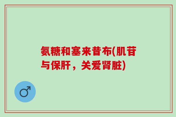 氨糖和塞来昔布(肌苷与保肝，关爱肾脏)