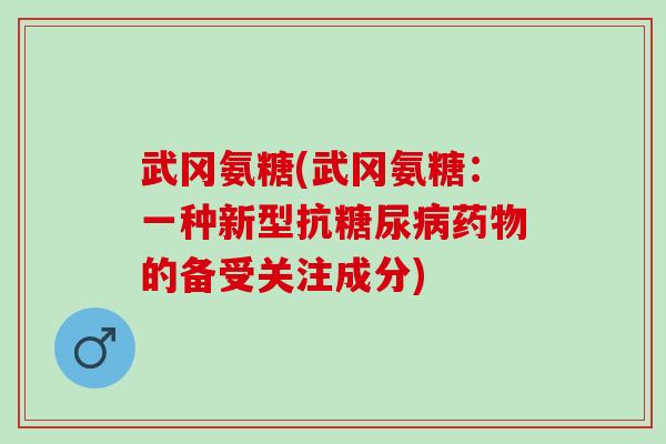 武冈氨糖(武冈氨糖：一种新型抗糖尿病药物的备受关注成分)