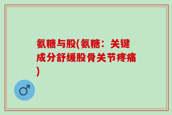 氨糖与股(氨糖：关键成分舒缓股骨关节疼痛)