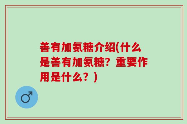 善有加氨糖介绍(什么是善有加氨糖？重要作用是什么？)