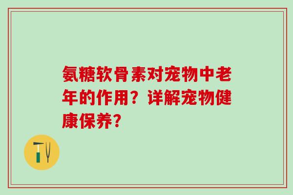 氨糖软骨素对宠物中老年的作用？详解宠物健康保养？