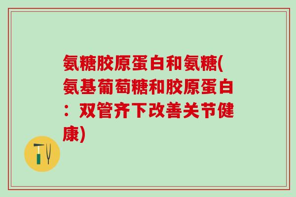 氨糖胶原蛋白和氨糖(氨基葡萄糖和胶原蛋白：双管齐下改善关节健康)