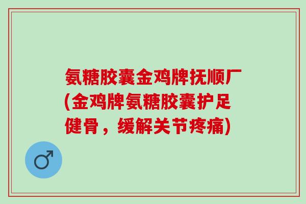氨糖胶囊金鸡牌抚顺厂(金鸡牌氨糖胶囊护足健骨，缓解关节疼痛)