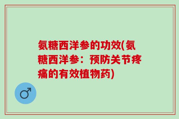 氨糖西洋参的功效(氨糖西洋参：预防关节疼痛的有效植物药)