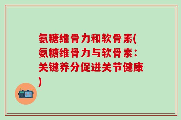 氨糖维骨力和软骨素(氨糖维骨力与软骨素：关键养分促进关节健康)
