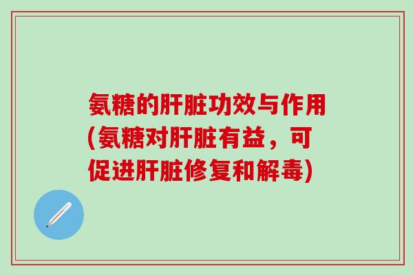 氨糖的功效与作用(氨糖对有益,可促进修复和) 氨糖的功效与作用(氨糖对有益,可促进修复和)
