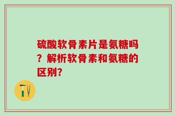 硫酸软骨素片是氨糖吗？解析软骨素和氨糖的区别？
