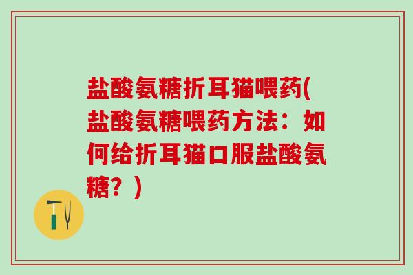 盐酸氨糖折耳猫喂药(盐酸氨糖喂药方法：如何给折耳猫口服盐酸氨糖？)