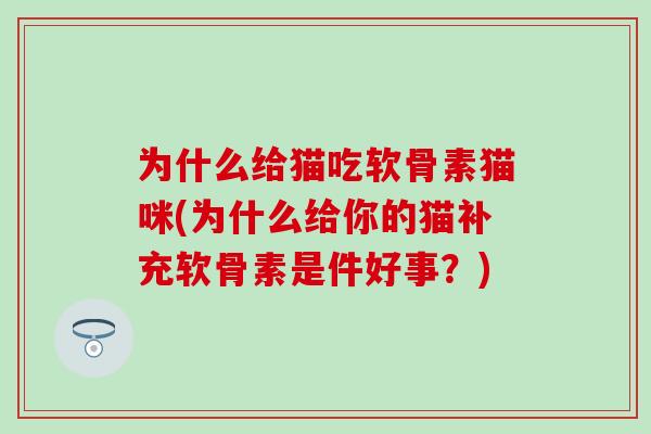 为什么给猫吃软骨素猫咪(为什么给你的猫补充软骨素是件好事？)