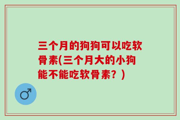 三个月的狗狗可以吃软骨素(三个月大的小狗能不能吃软骨素？)