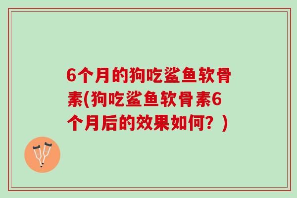 6个月的狗吃鲨鱼软骨素(狗吃鲨鱼软骨素6个月后的效果如何？)