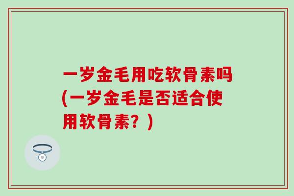 一岁金毛用吃软骨素吗(一岁金毛是否适合使用软骨素？)