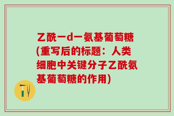 乙酰一d一氨基葡萄糖(重写后的标题：人类细胞中关键分子乙酰氨基葡萄糖的作用)