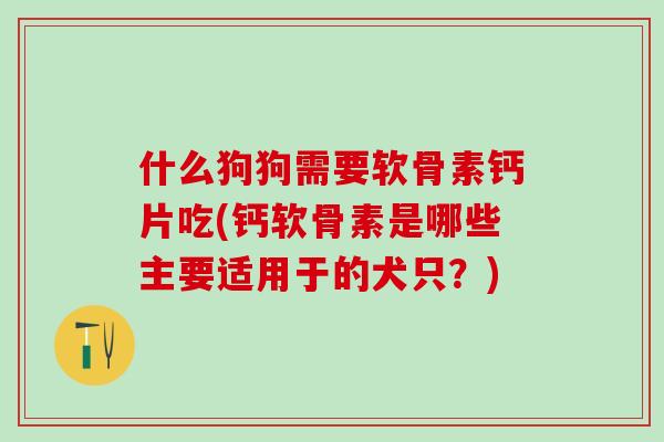 什么狗狗需要软骨素钙片吃(钙软骨素是哪些主要适用于的犬只？)