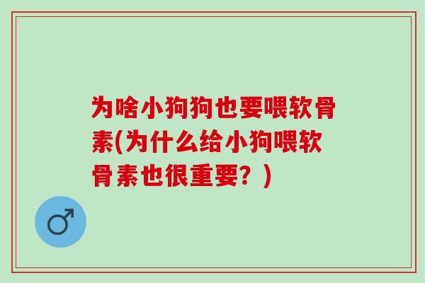 为啥小狗狗也要喂软骨素(为什么给小狗喂软骨素也很重要？)