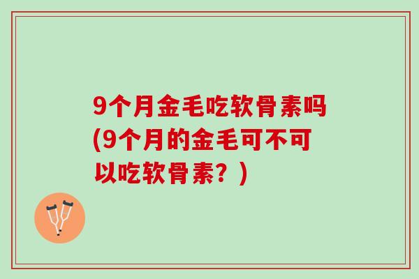 9个月金毛吃软骨素吗(9个月的金毛可不可以吃软骨素？)