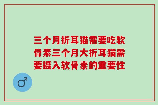 三个月折耳猫需要吃软骨素三个月大折耳猫需要摄入软骨素的重要性