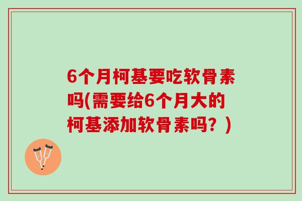 6个月柯基要吃软骨素吗(需要给6个月大的柯基添加软骨素吗？)