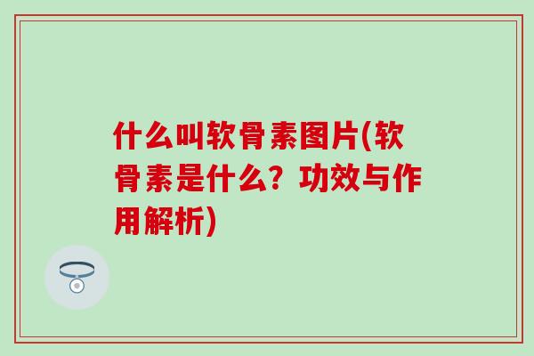 什么叫软骨素图片(软骨素是什么？功效与作用解析)