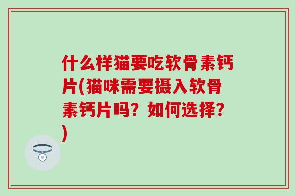 什么样猫要吃软骨素钙片(猫咪需要摄入软骨素钙片吗？如何选择？)