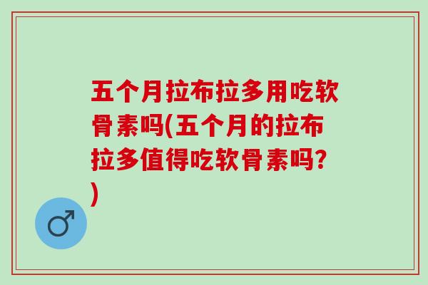 五个月拉布拉多用吃软骨素吗(五个月的拉布拉多值得吃软骨素吗？)