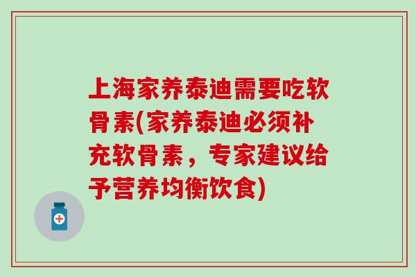 上海家养泰迪需要吃软骨素(家养泰迪必须补充软骨素，专家建议给予营养均衡饮食)