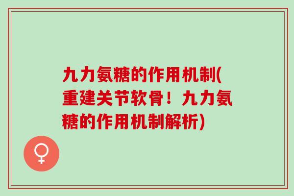 九力氨糖的作用机制(重建关节软骨！九力氨糖的作用机制解析)