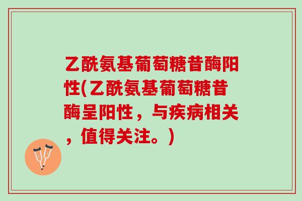 乙酰氨基葡萄糖昔酶阳性(乙酰氨基葡萄糖昔酶呈阳性，与疾病相关，值得关注。)