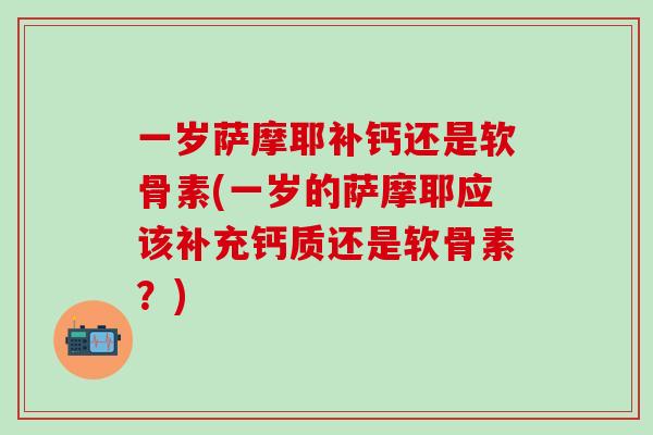 一岁萨摩耶补钙还是软骨素(一岁的萨摩耶应该补充钙质还是软骨素？)