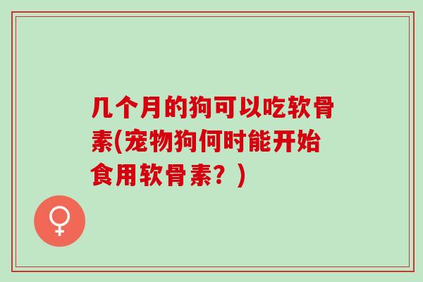 几个月的狗可以吃软骨素(宠物狗何时能开始食用软骨素？)
