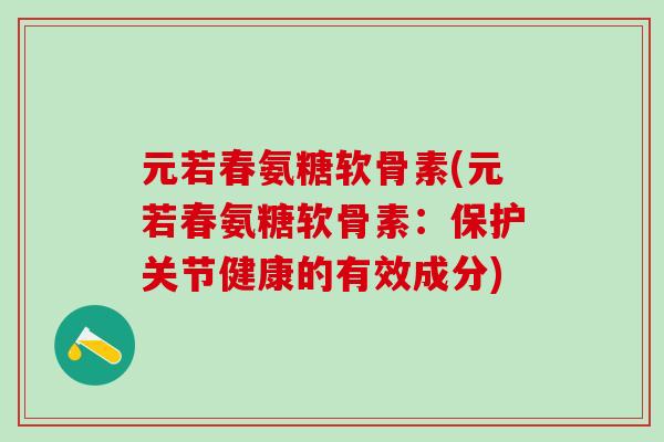 元若春氨糖软骨素(元若春氨糖软骨素：保护关节健康的有效成分)